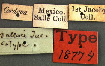 Media type: image; Entomology 18774   Aspect: labels